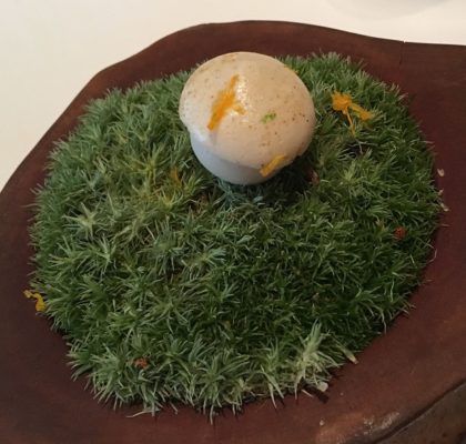 the mushroom macaroon with pumpkin puree 