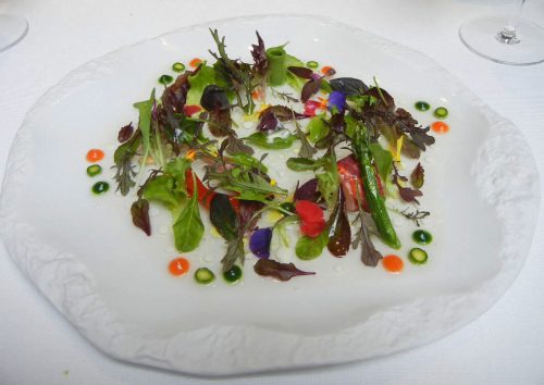 Vegetable leaves and petals salad, herbs, sprout with lettuce cream and lobster