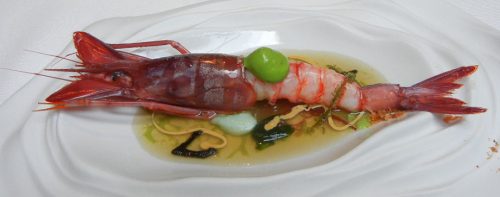 Red prawn on a seabed, fennel and coral emulsion